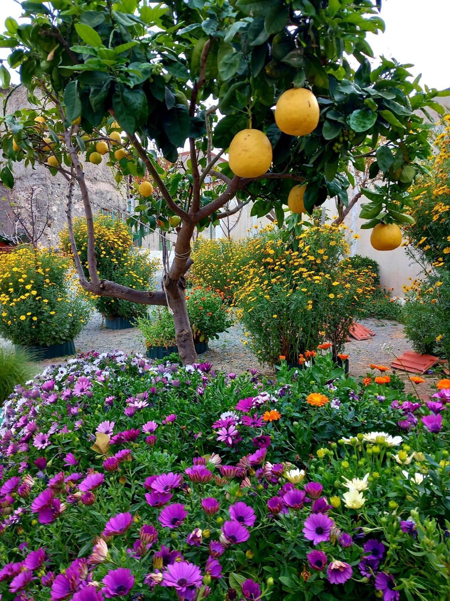 4 Seasons Suites Paradise Near Athens Airport Markopoulo Mesogaias Ngoại thất bức ảnh
