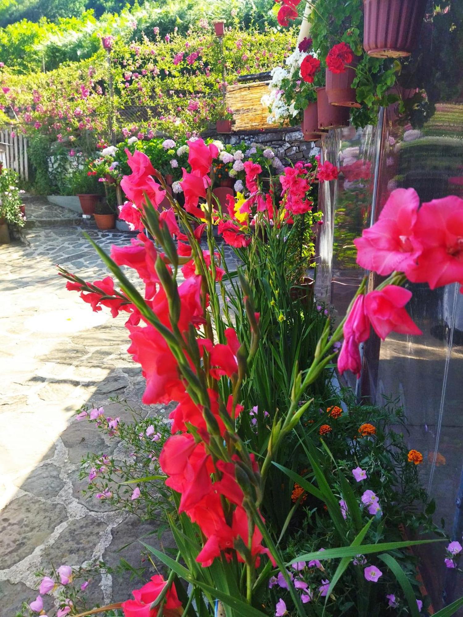 4 Seasons Suites Paradise Near Athens Airport Markopoulo Mesogaias Ngoại thất bức ảnh